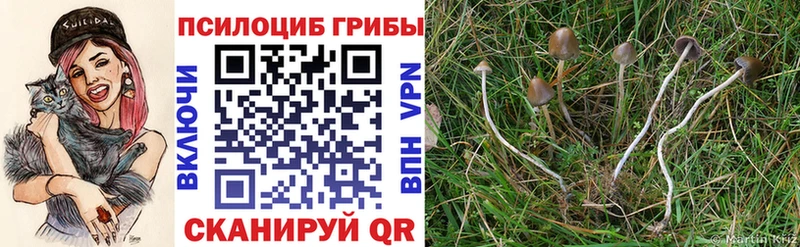 Галлюциногенные грибы Magic Shrooms  Урюпинск 
